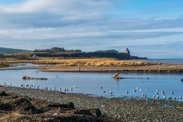 River Doon to Greenan Castle