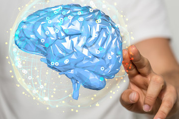 brain