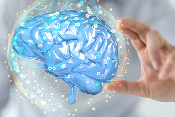 brain