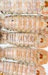 mantis shrimps Oratosquilla oratoria food ingredient cooking