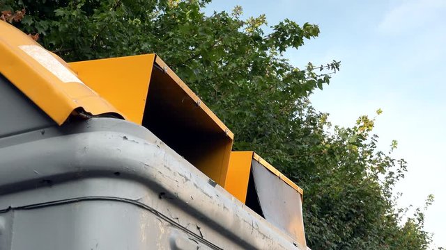 details of slots of plastic recycling bin near waving leaves