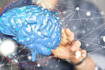 brain