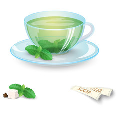 Transparent cup of green tea with mint and sugar isolated on white background. Vector illustration.