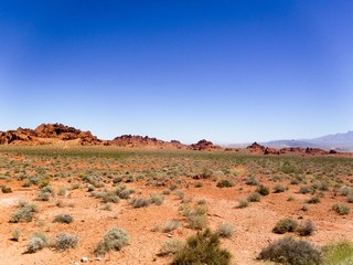 Desert floor mountain range in distance open space Valley of Fire Nevada day-trip from Las Vegas wide-open with background hills against a clear cloudless sky with shrubs in foreground