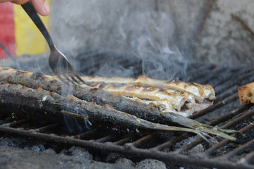Fish on the grill