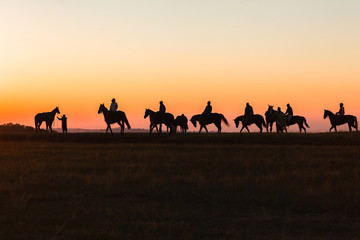 Fototapeta premium Konie Jeźdźcy Silhouetted Dawn