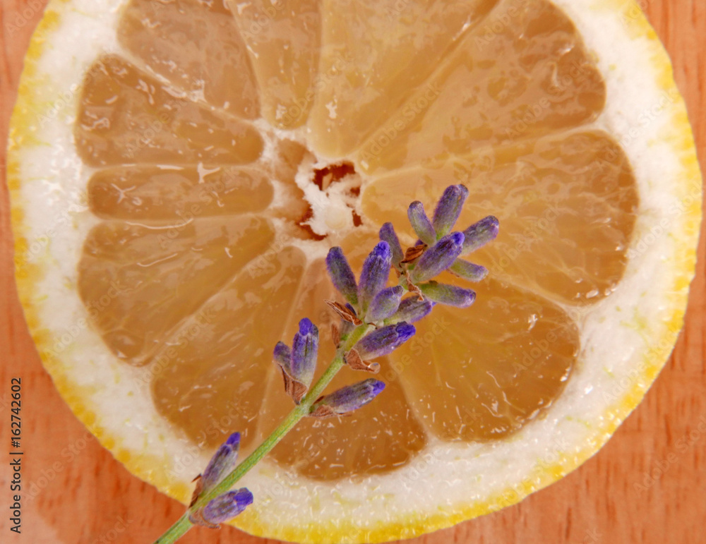 Wall mural lemon slice and lavender flower