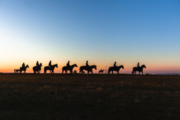 Horses Riders Silhouetted Dawn