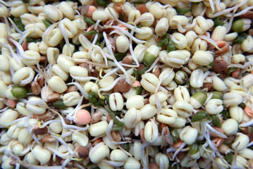 Asian Mix Sprouts