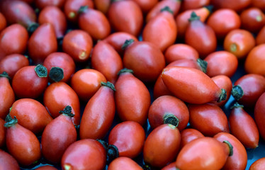 Red rose hips ready to sun-dry, Rosa canina fruit