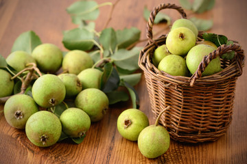 Basked of European wild pear.