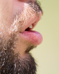 Hair of a man with a beard and mustache