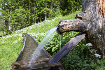 Obraz premium Brunnen auf einer Alm in den Tiroler Alpen