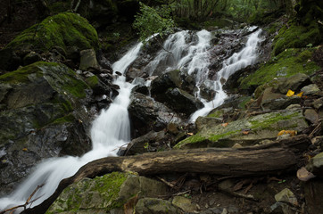 Naklejka premium 沢の流れ