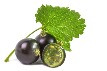 Several ripe berries of black currant on white background