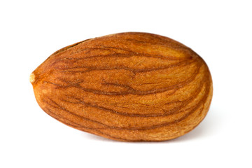 One dry apricot kernel isolated on white background