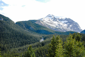 春のカナディアン・ロッキー　バンフ国立公園　ノースサスカチュワン川と山並み（カナダ）