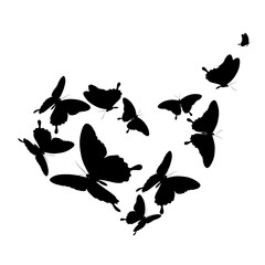 heart,black butterfly, isolated on a white