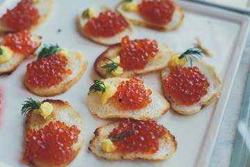 Beautifully decorated catering banquet table with different food snacks and appetizers on corporate christmas birthday party event or wedding celebration