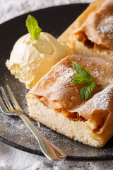 Healthy strudel with cottage cheese, and vanilla ice cream macro on a plate. vertical