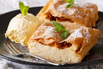 Beautiful strudel with cottage cheese, with vanilla ice cream close-up on a plate. horizontal