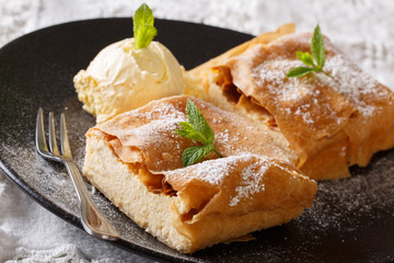 Freshly baked sweet cheese strudel with vanilla ice cream close-up. horizontal