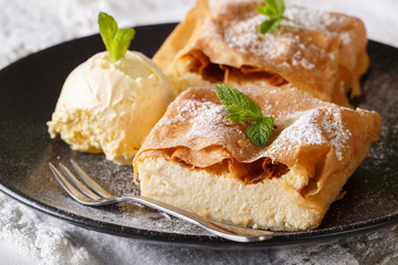 Austrian sweet cheese strudel with vanilla ice cream macro on a plate. horizontal