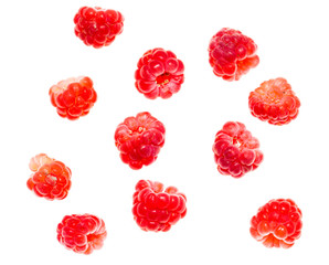 Juicy red raspberries on white background