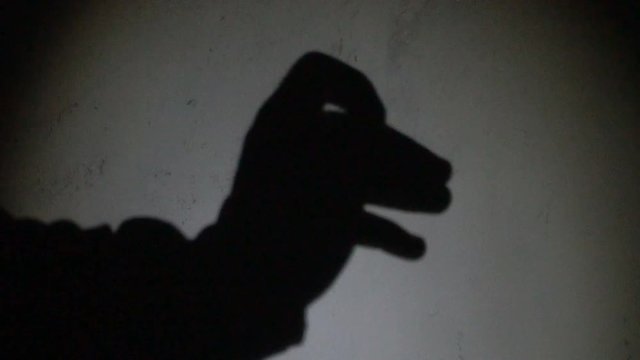 Two hands make a silhouette shadow show of a camel head against white background.