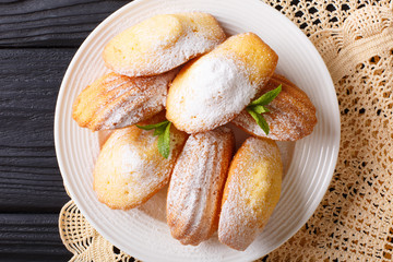 Madeleine's biscuit with powdered sugar and mint closeup on a plate on the table. Horizontal top view
