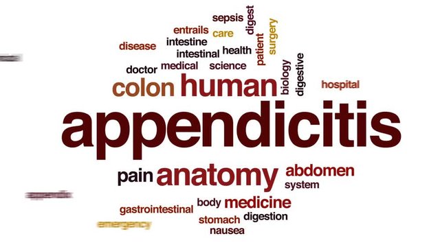 Appendicitis animated word cloud, text design animation.