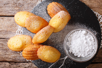 Golden cookies Madeleine sprinkled with powdered sugar close-up on the table. Horizontal top view