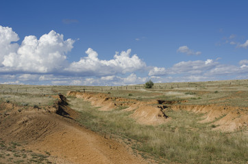 Santa Fe Trail Ruts on the Mountain Branch
