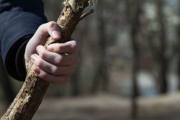 Carefree childhood. wooden stick in children's hand at sunny spring day.