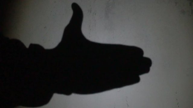 Two hands make a silhouette shadow show of a dog head against white background.