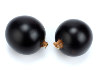 black currant isolated on white background
