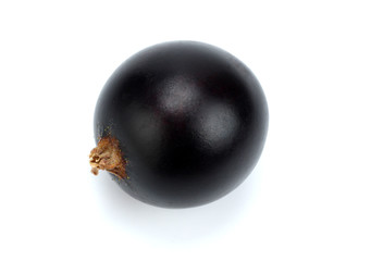 black currant isolated on white background