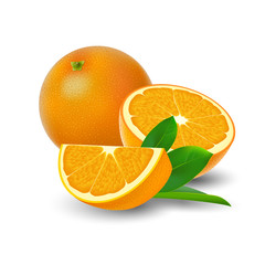 Isolated colored group of orange, slice, half and whole juicy fruit with green leaf and shadow on white background. Realistic citrus.