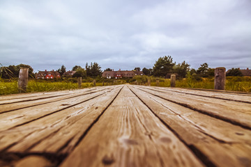 Sylt Steg Waterküken