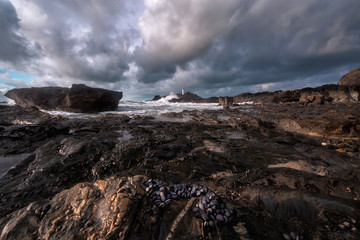 Godrevy lighthouse near hail in cornwall england uk