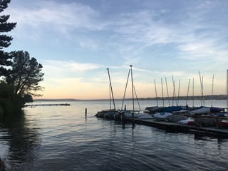 Sailboats on Lake Washington