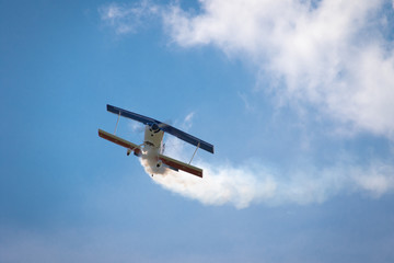 Modellflug RC Flugzeug
