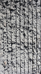 Obraz premium concrete texture