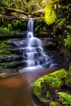 Fototapeta Small waterfall in Sydney