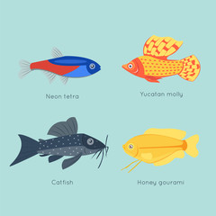 Exotic tropical fish different colors underwater ocean species aquatic nature flat isolated vector illustration