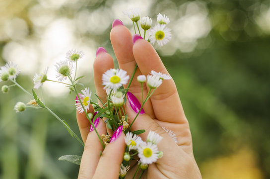 Manicure, beauty