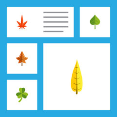 Fototapeta na wymiar Flat Icon Leaf Set Of Aspen, Alder, Maple And Other Vector Objects. Also Includes Leafage, Oaken, Foliage Elements.