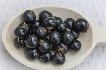 The blackcurrant (Ribes nigrum) is a woody shrub in the family Grossulariaceae grown for its piquant berries