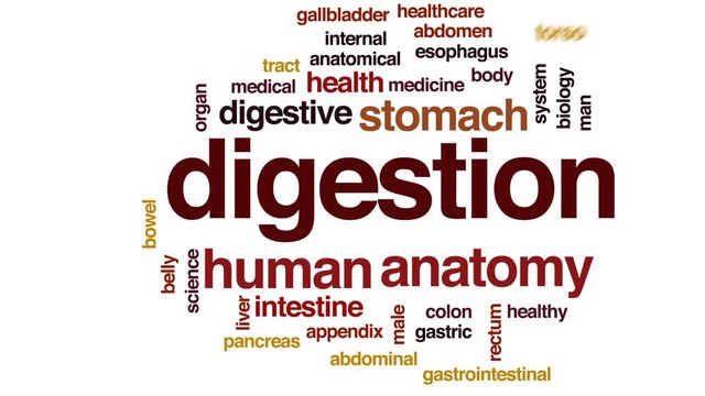 Digestion animated word cloud, text design animation.
