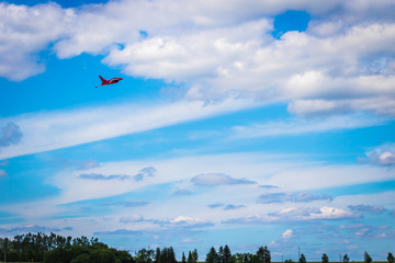 Modellflug RC Flugzeug